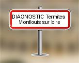 Diagnostic Termite AC Environnement  à Montlouis sur Loire